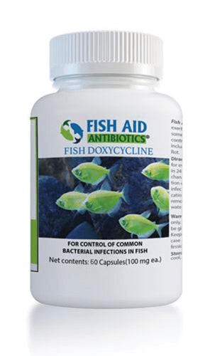 Fish Dox 100mg — fish doxycycline, 60 tablets