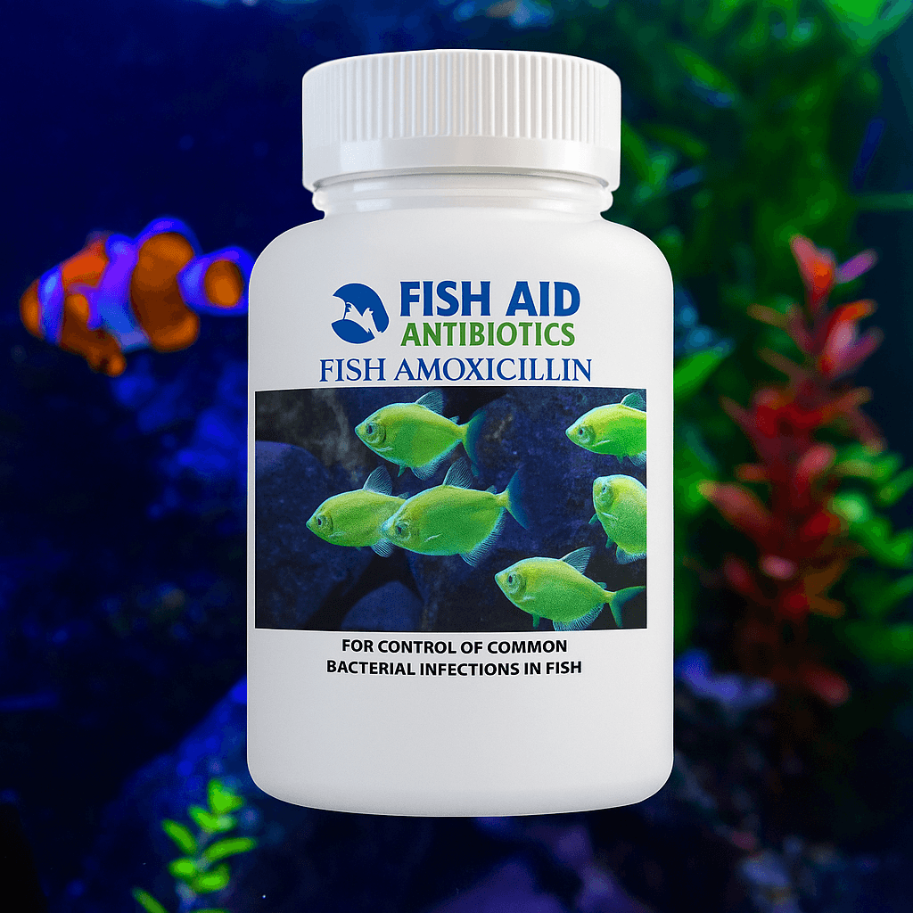 Fish Mox 500mg — fish amoxicillin, 100 capsules